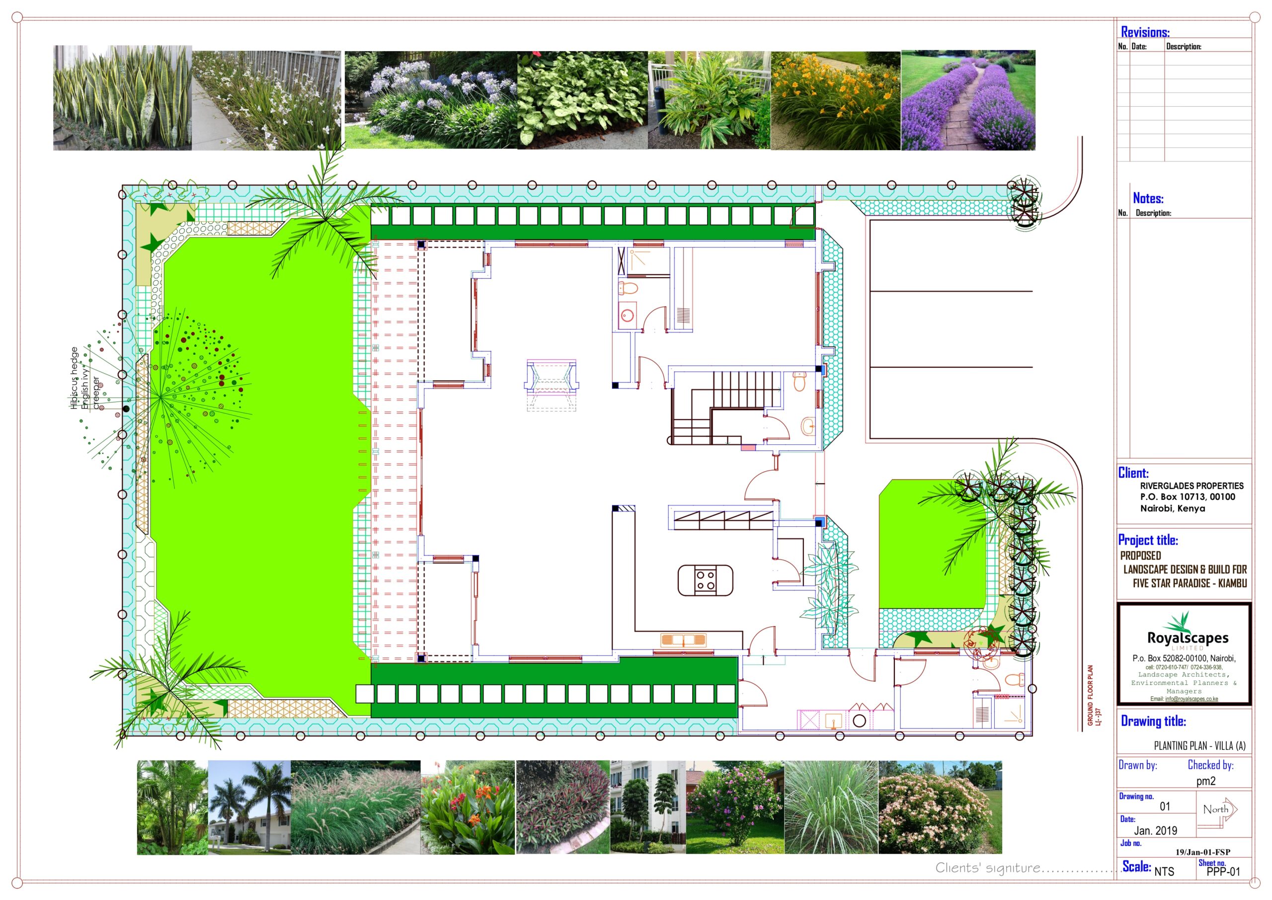Landscape Design