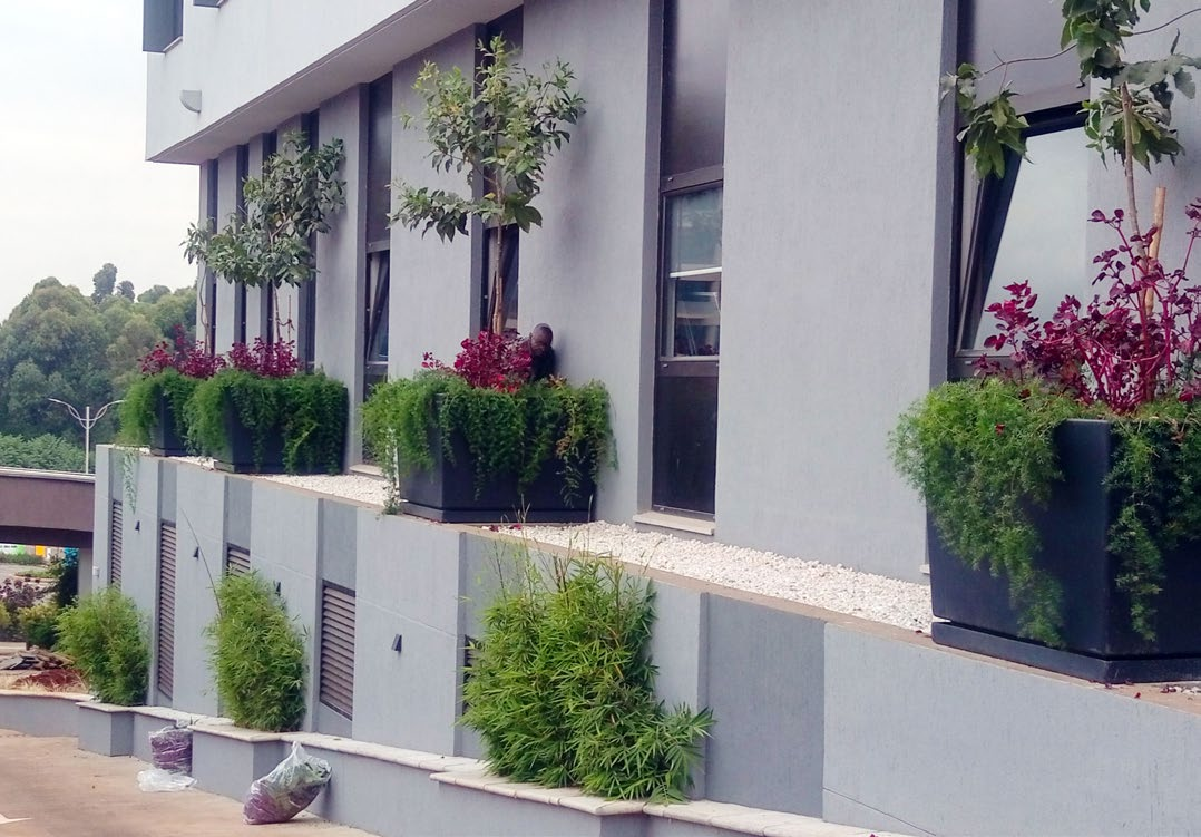 City Lodge Hotel