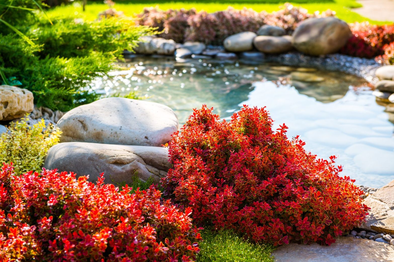 Landscaping Mistakes to Avoid: Common Pitfalls and How to Fix Them
