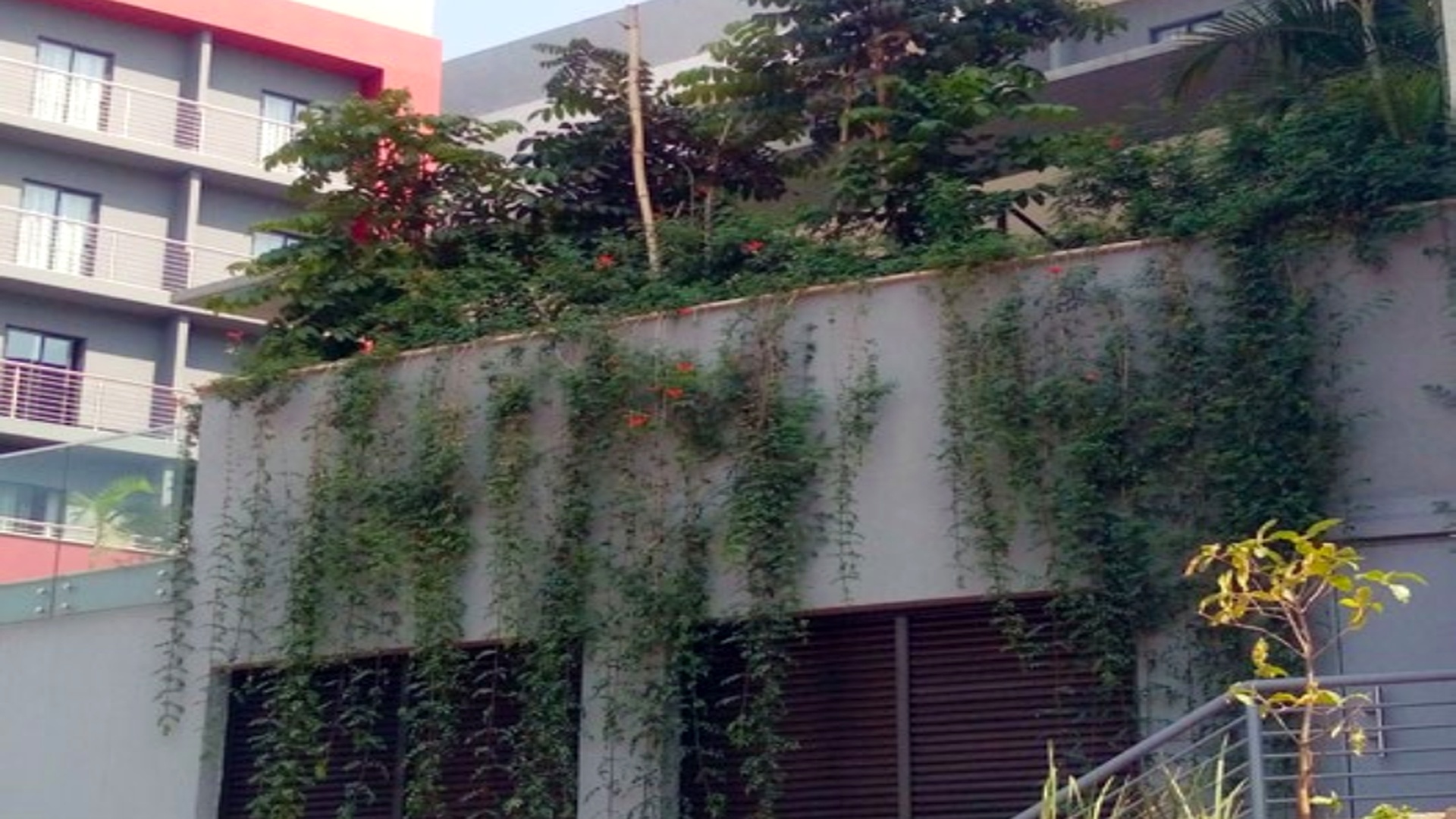 city-hotel1_enhanced