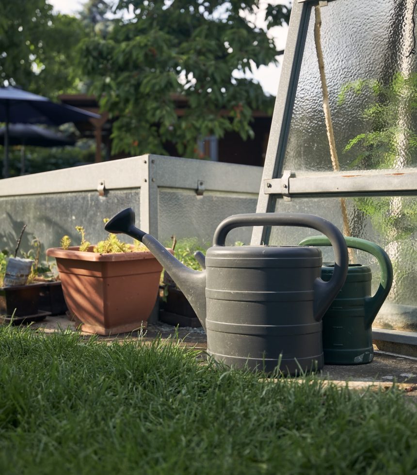 Watering cans against greenhouse with vegetable on home garden during beautiful sunny day.