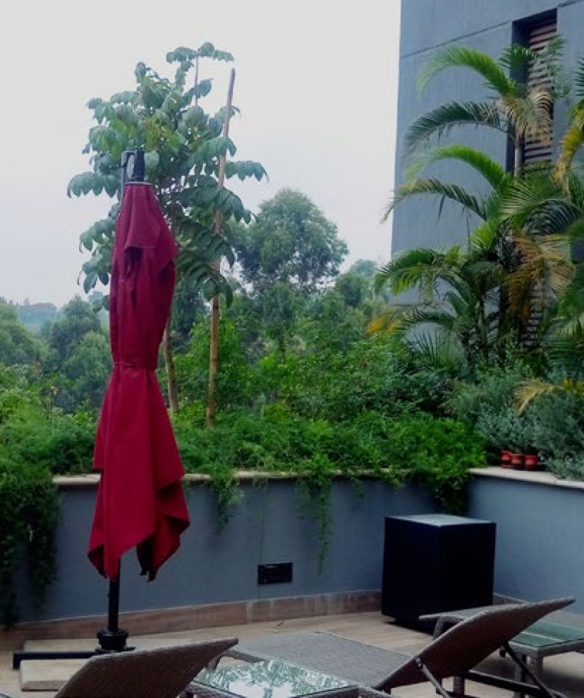 garden & maintanance