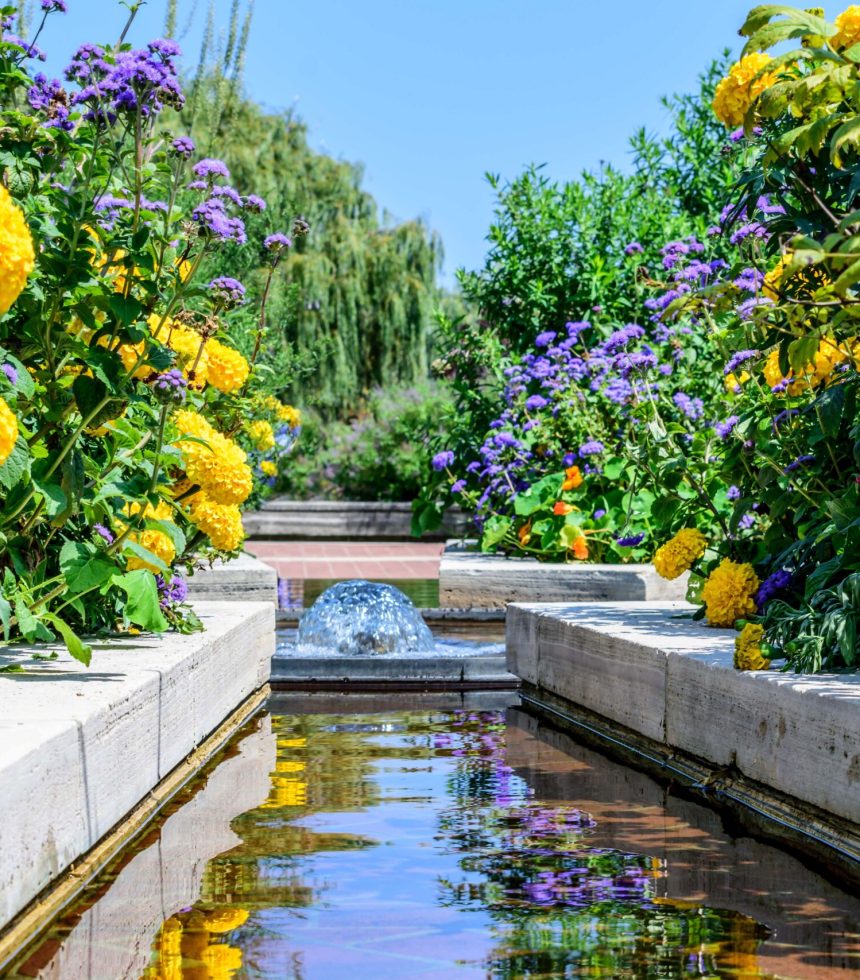 fountain-with-beautiful-yellow-and-purple-flowers-2022-11-07-05-22-52-utc